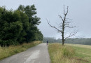 fotografie
