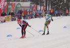 Běžky, lyžování